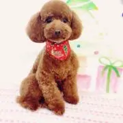 リナちゃん