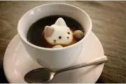 マルとキャルの画像