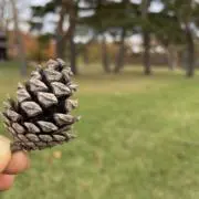 三二一の画像