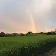 みきちょくの画像