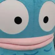 nの画像