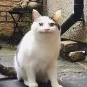 そえか