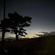 ロッキーサンダース