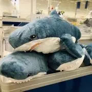 Nの画像