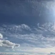 りんごの画像