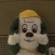 ピーコの画像