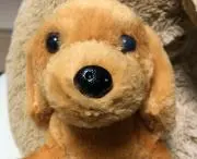 チビわん。