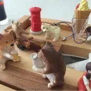 sachiの画像