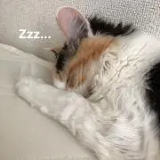 ちなみん