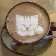 みかん