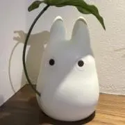みかんの画像