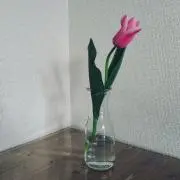 うちゃみ
