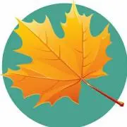 Maple-Summerの画像