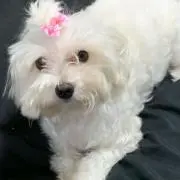じゅん