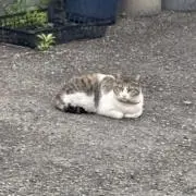 noooooooooueeの画像