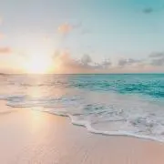 うらの画像