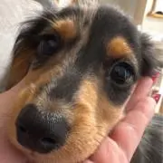 sss.