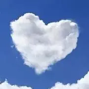 てん豆❀引越し予定~おまとめ購入大歓迎~の画像