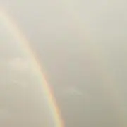 cococo117の画像