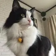 うーさん