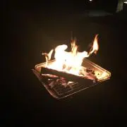 レオンの画像