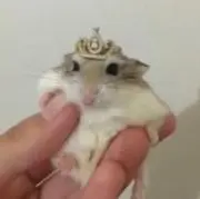^..^の画像
