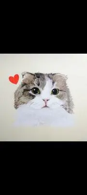 もむの画像