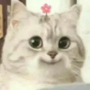 るるの画像