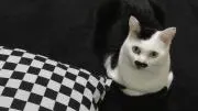 H＆Nの画像