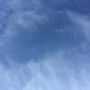 蒲焼さん太郎の画像