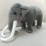 モナミの画像