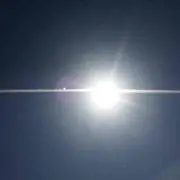 たると