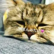 あむあむの画像
