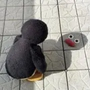 ゆーやの画像