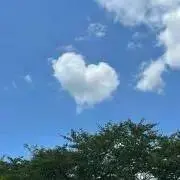 はる♡の画像