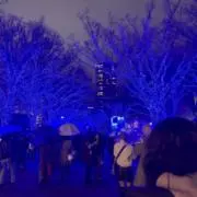 Ichiyoの画像