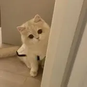 そ