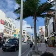宝島の画像