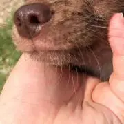 なつきの画像