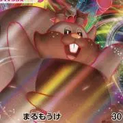 ホシガリスの画像