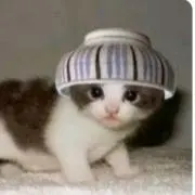 オナの画像