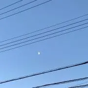 パーチャンの画像