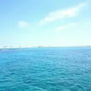 hirokoの画像