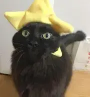 NAO★