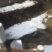 Retsinaの画像