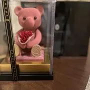 Luluの画像