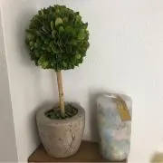 ❁︎hahaha❁︎の画像
