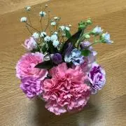 うたた寝さん(。-_-。)の画像