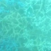 yukiの画像