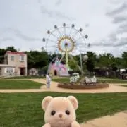 ねここの画像